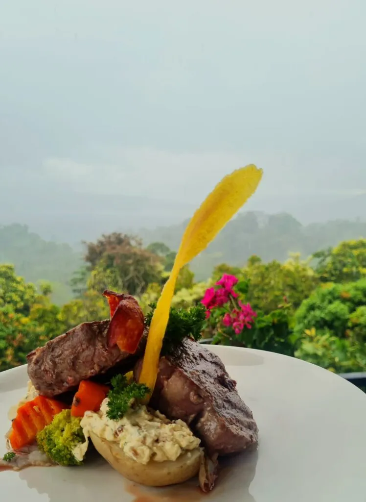 Gourmet plate presentation at Loma Linda with Arenal Volcano view